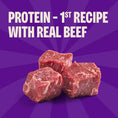 Load image into Gallery viewer, Wellness Rewarding Life Beef & Turkey Grain-Free Soft & Chewy Dog Treats