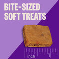 Load image into Gallery viewer, Wellness Rewarding Life Beef & Turkey Grain-Free Soft & Chewy Dog Treats