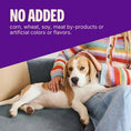 Load image into Gallery viewer, Wellness Rewarding Life Beef & Turkey Grain-Free Soft & Chewy Dog Treats