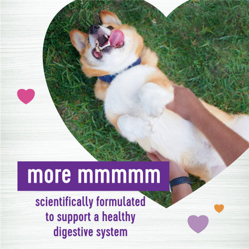 Wellness Probiotics Supplements Digestive (Belly) SINGLE/45ct