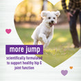 Load image into Gallery viewer, Wellness Supplements Hip & Joint (Move) SINGLE/45ct