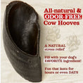 Load image into Gallery viewer, Cow Hooves