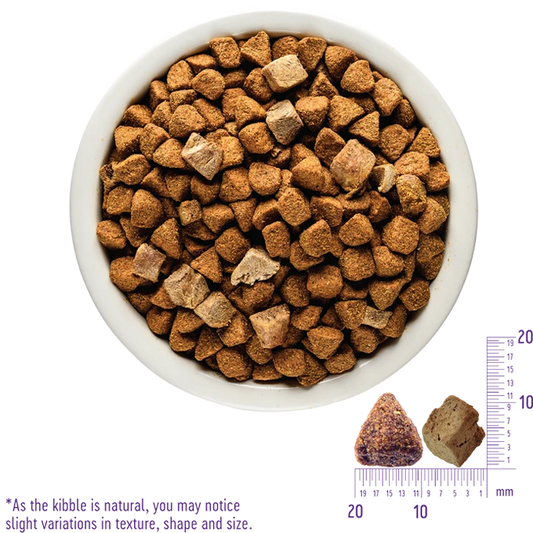 Wellness CORE+ (Formerly RawRev) Grain Free