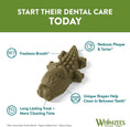 Load image into Gallery viewer, A colorful toothbrush adorned with a cartoon crocodile, adding a playful touch to dental hygiene.