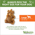 Load image into Gallery viewer, Whimzees Hedgehog Large - 1 count