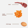 Load image into Gallery viewer, Sojos Complete Lamb Recipe Adult