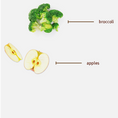 Load image into Gallery viewer, Diagram illustrating broccoli and apples, highlighting their shapes and nutritional benefits.