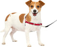 Load image into Gallery viewer, Premier Easy Walk Dog Harness, Red/Black
