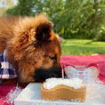 Load image into Gallery viewer, Puppy Birthday Cake Mix Kit (Pumpkin)