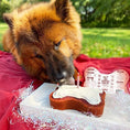 Load image into Gallery viewer, Puppy Birthday Cake Mix Kit (Red Velvet)