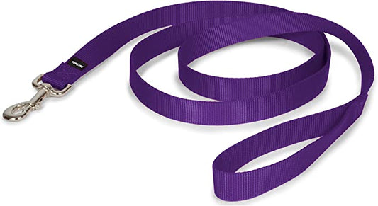 Purple dog leash featuring a silver buckle, designed for durability and style