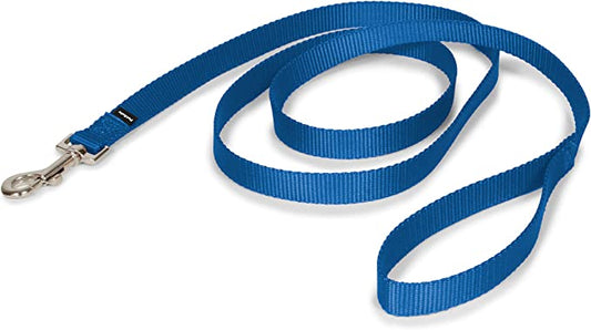 A royal blue dog leash with a durable metal clip for easy fastening.