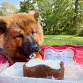 Load image into Gallery viewer, Puppy Birthday Cake Mix Kit (Carob)