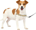 Load image into Gallery viewer, Premier Easy Walk Dog Harness - No Pull Dog Harness, Fawn/Brown
