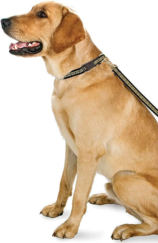 Adjustable Martingale Collar /Preppy Puppy Collar