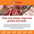 Load image into Gallery viewer, Sojos Simply Beef Freeze-Dried Dog Treats, 4-oz bag