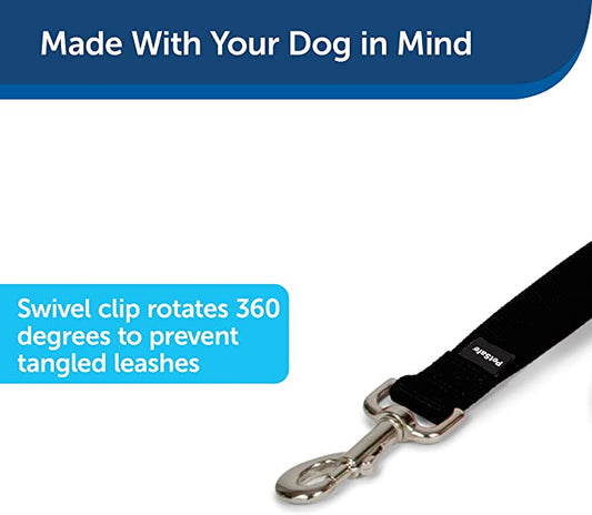 A dog leash attached to a black and white dog, showcasing the pet's playful demeanor.