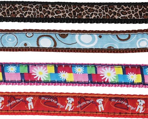 A selection of colorful dog collars featuring various designs, including the 'Ring A Ding Leash' style