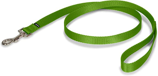 Green dog leash with a strong metal clasp, ideal for walking pets.