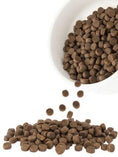 Load image into Gallery viewer, Harlow Blend Grain Free Turkey Fusion