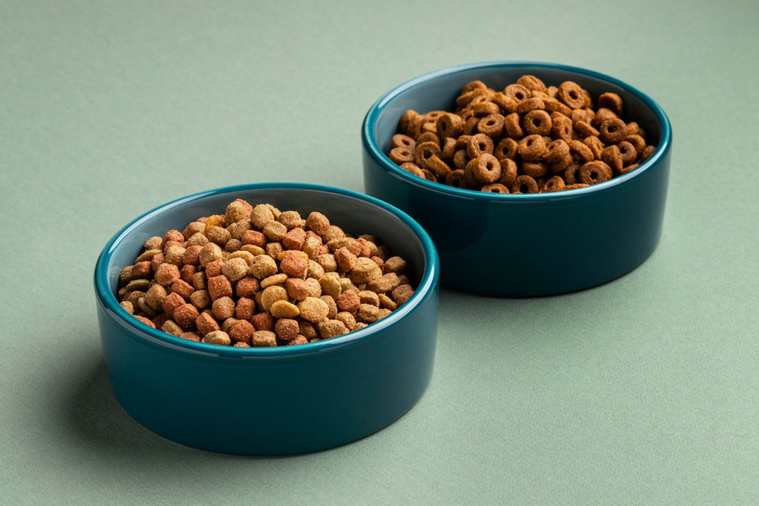Two bowls of prescription dog food placed on a surface