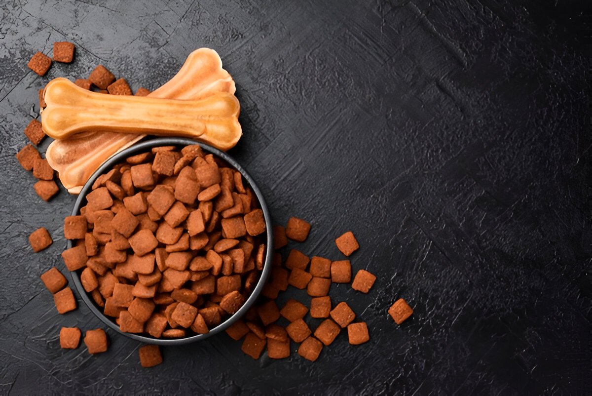 The Ultimate Dog Care Guide: Food, Treats & Essentials From Dog World PR