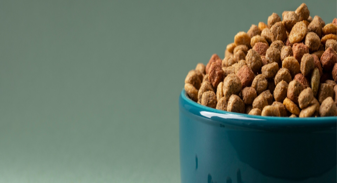 Why You Should Choose High Quality Dental Dog Treats