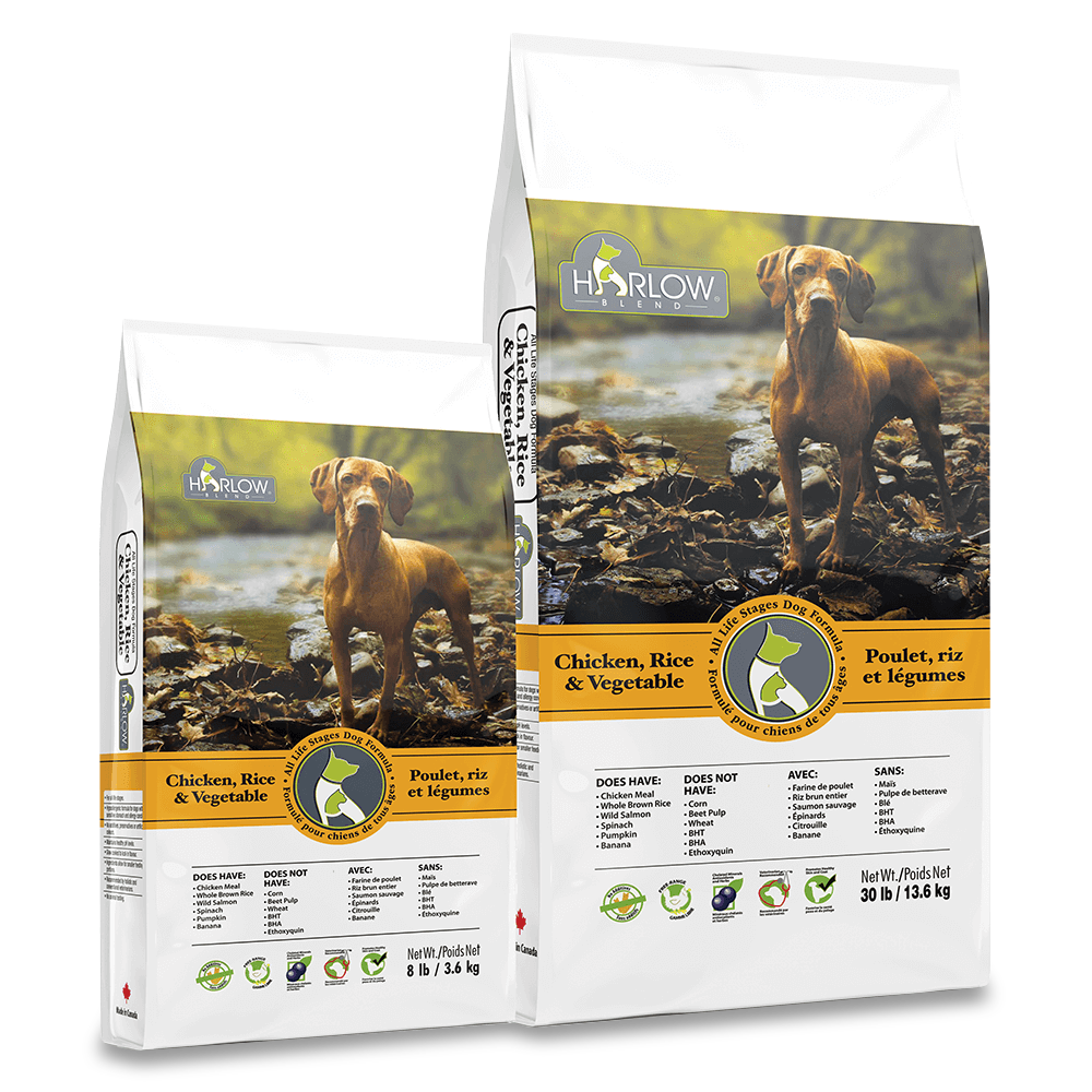 Dog Dry Food