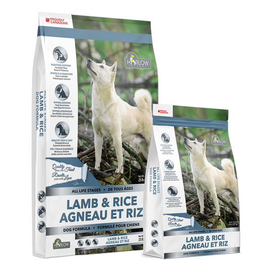 Package of Harlow Blend Lamb and Rice grain-free dog food, highlighting a lamb and rice graphic on the front