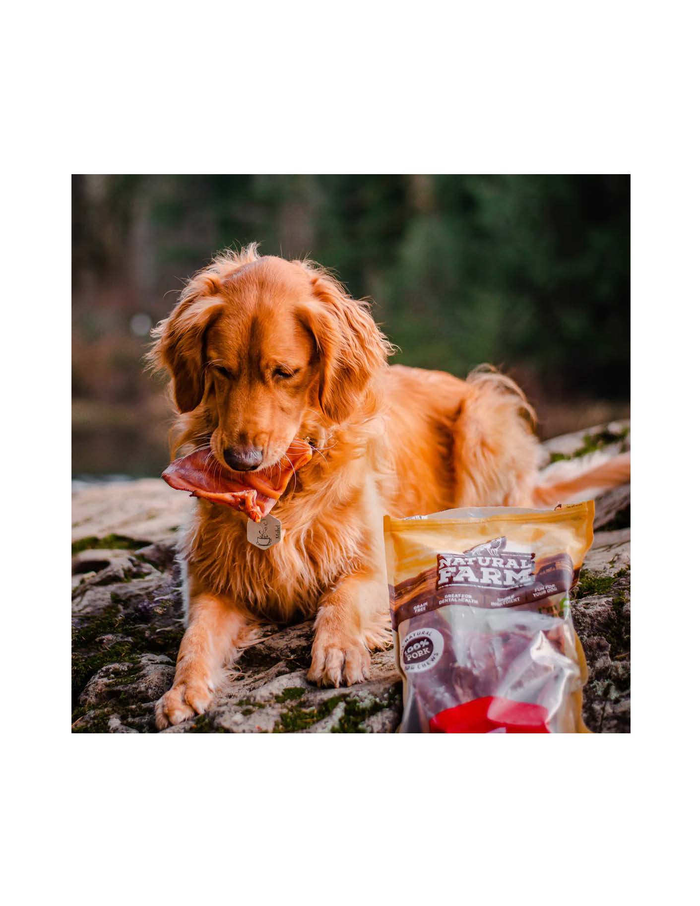 Pig Ears 3 Pack