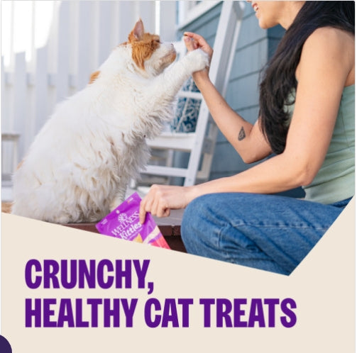 Wellness Kittles Salmon & Cranberries Cat Treats 2oz