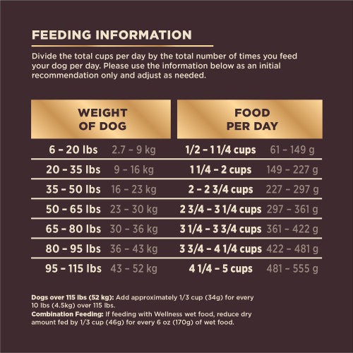 Wellness Core+ Beef Wholesome Grains