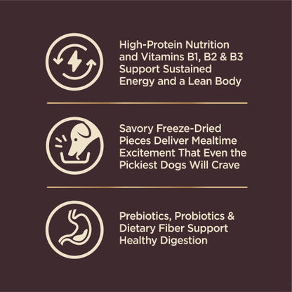 Wellness CORE+ (Formerly RawRev) Grain Free