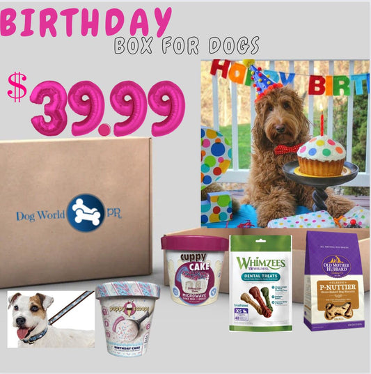 DW-Birthday Box
