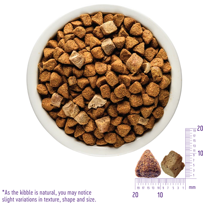 Wellness CORE+ (Formerly RawRev) Grain Free