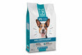 Load image into Gallery viewer, A bag of SquarePet VFS Skin & Digestive Dry Food labeled skin sensitive support for dogs
