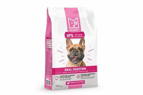 A bag of SquarePet VFS Ideal Digestion Dry Dog Food featuring the word "dog" prominently on the front.