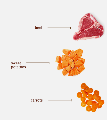 Sojos Complete Beef Recipe Adult
