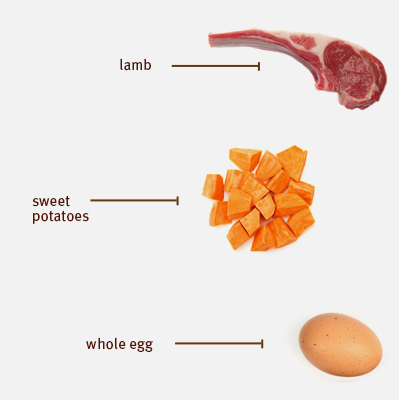 Sojos Complete Lamb Recipe Adult