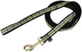 Load image into Gallery viewer, Premier Pet Fido Finery Leash / Preppy Puppy Plaid
