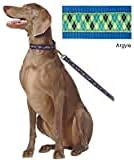 A dog sits on a leash, wearing a Jaguar adjustable martingale collar with a stylish leopard print design