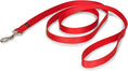 Load image into Gallery viewer, PetSafe Nylon - Traditional Style Leash/ RED
