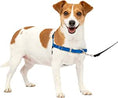 Load image into Gallery viewer, Easy Walk Dog Harness, No Pull Dog Harness/Royal Blue
