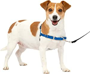 Easy Walk Dog Harness, No Pull Dog Harness/Royal Blue