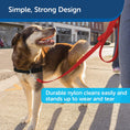 Load image into Gallery viewer, PetSafe Nylon - Traditional Style Leash/ RED
