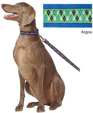 A dog sits calmly on a leash featuring a blue and green argyle pattern, showcasing an adjustable martingale collar.