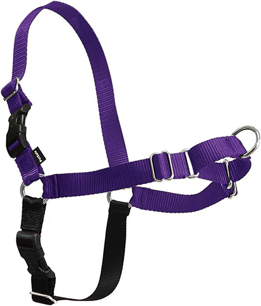 Deep purple dog harness with a black buckle, designed for easy walking and comfort.