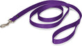 Load image into Gallery viewer, Premier Nylon Dog Leash/ Purple
