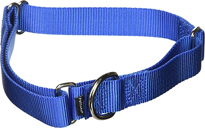 Adjustable Martingale Collar/ Royal Blue
