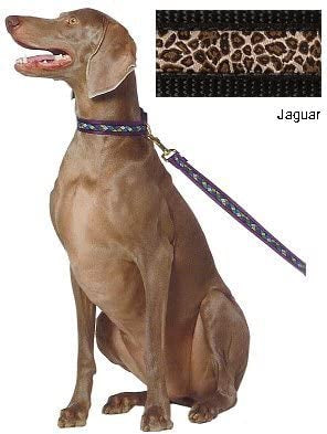 A dog on a leash showcases a leopard print adjustable martingale collar named Jaguar